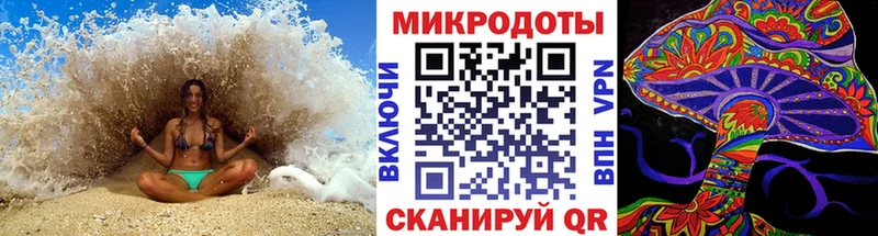 Галлюциногенные грибы Magic Shrooms  где можно купить наркотик  Качканар 