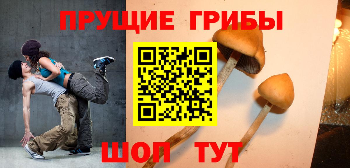 Псилоцибиновые грибы Psilocybe  Вход с VPN  Качканар 